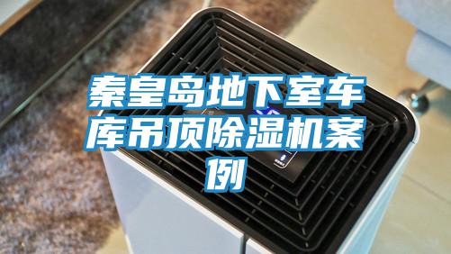 秦皇島地下室車(chē)庫(kù)吊頂除濕機(jī)案例