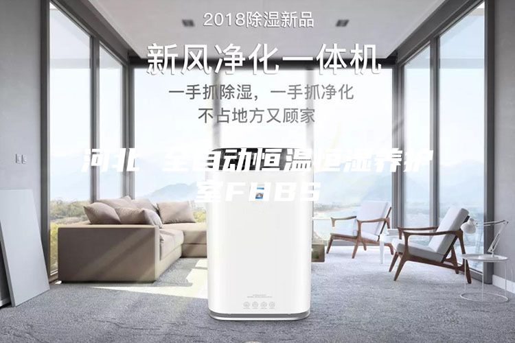 河北 全自動恒溫恒濕養(yǎng)護(hù)室FHBS
