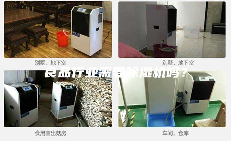 食品行業需要除濕機嗎？
