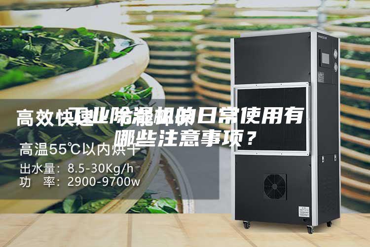 工業(yè)除濕機(jī)的日常使用有哪些注意事項？