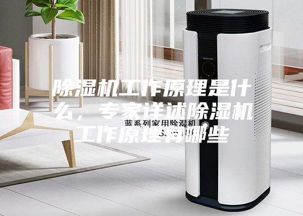 除濕機工作原理是什么，專家詳述除濕機工作原理有哪些
