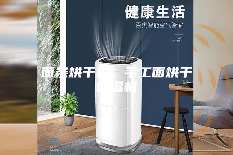 面條烘干機，手工面烘干除濕機