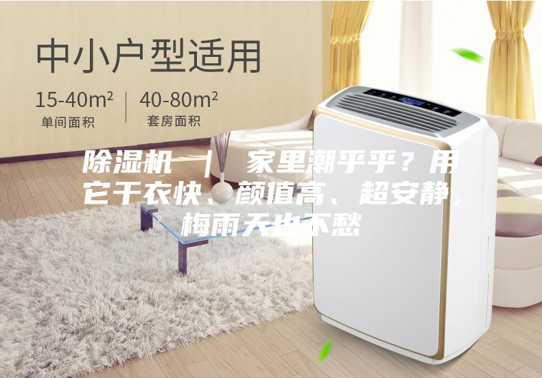 除濕機 ｜ 家里潮乎乎？用它干衣快、顏值高、超安靜，梅雨天也不愁