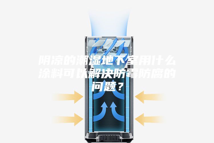 陰涼的潮濕地下室用什么涂料可以解決防霉防腐的問題？
