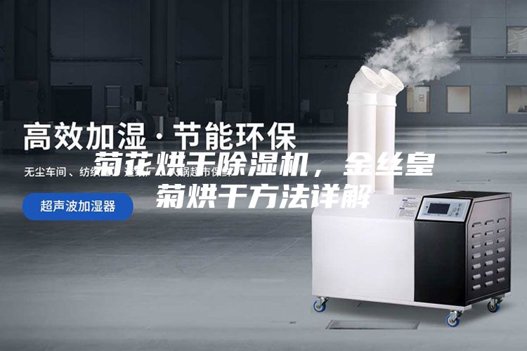 菊花烘干除濕機，金絲皇菊烘干方法詳解