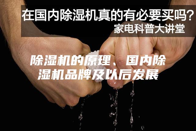 除濕機的原理、國內除濕機品牌及以后發展