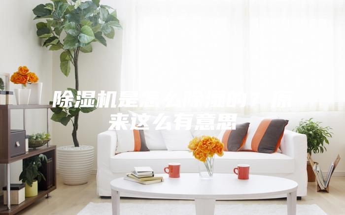除濕機(jī)是怎么除濕的？原來這么有意思
