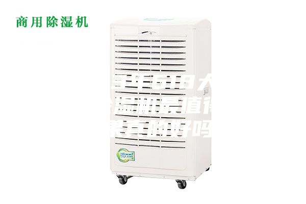 2023年618大促，哪款除濕機最值得買？效果真的好嗎？