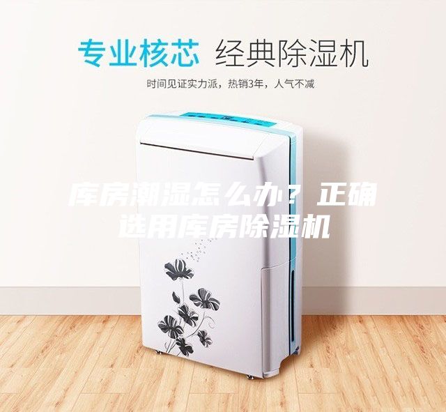 庫房潮濕怎么辦？正確選用庫房除濕機