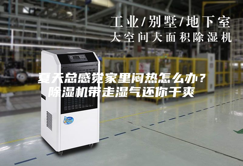 夏天總感覺家里悶熱怎么辦？除濕機帶走濕氣還你干爽