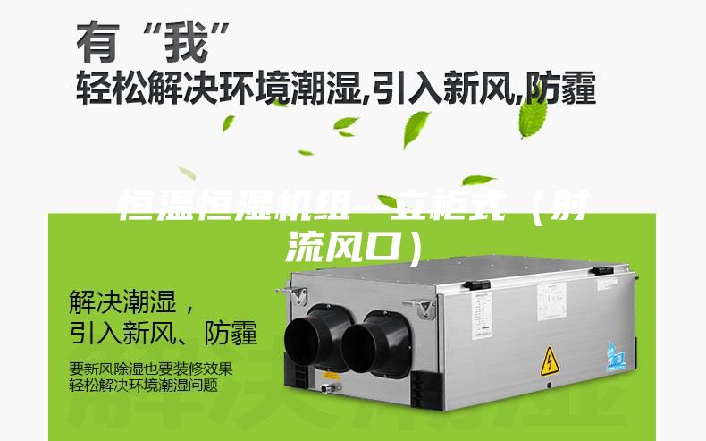 恒溫恒濕機組--立柜式（射流風(fēng)口）