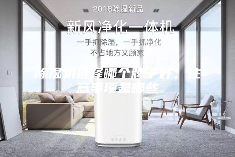 除濕機(jī)選擇哪個牌子好，注意事項(xiàng)是哪些