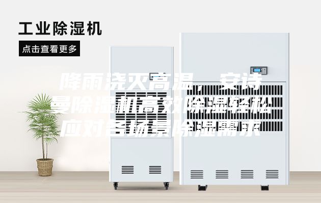 降雨澆滅高溫，安詩曼除濕機高效除濕輕松應對各場景除濕需求