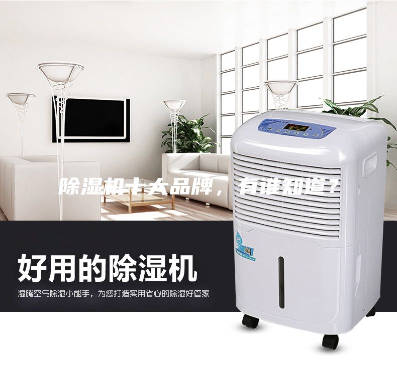 除濕機十大品牌，有誰知道？