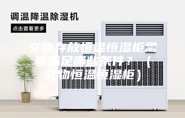文物存放恒溫恒濕柜需要滿足哪些條件？（文物恒溫恒濕柜）