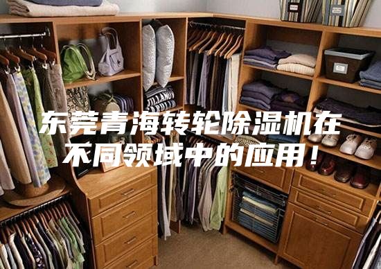 東莞青海轉輪除濕機在不同領域中的應用!