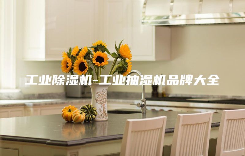 工業(yè)除濕機-工業(yè)抽濕機品牌大全