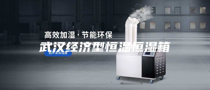 武漢經(jīng)濟(jì)型恒溫恒濕箱
