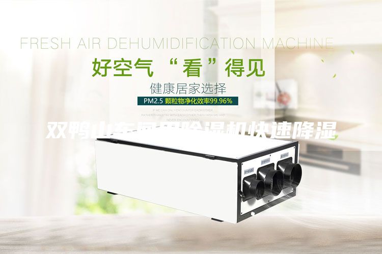 雙鴨山車間用除濕機快速降濕