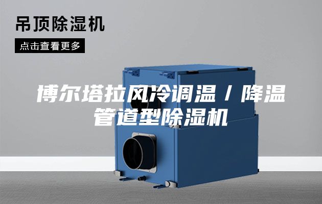 博爾塔拉風(fēng)冷調(diào)溫/降溫管道型除濕機
