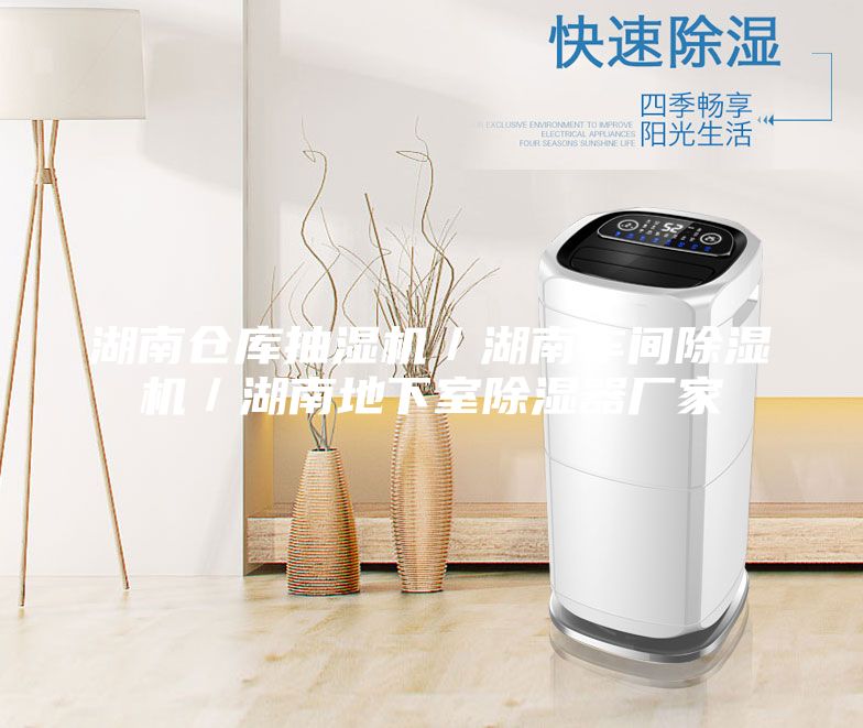湖南倉庫抽濕機(jī)/湖南車間除濕機(jī)/湖南地下室除濕器廠家