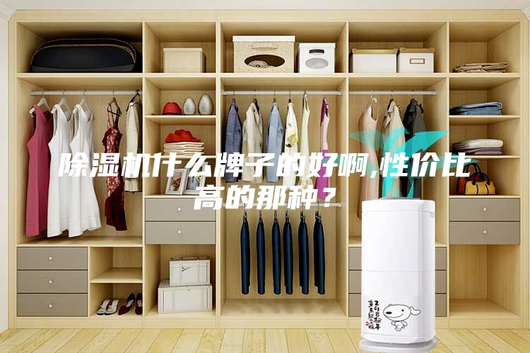 除濕機什么牌子的好啊,性價比高的那種?