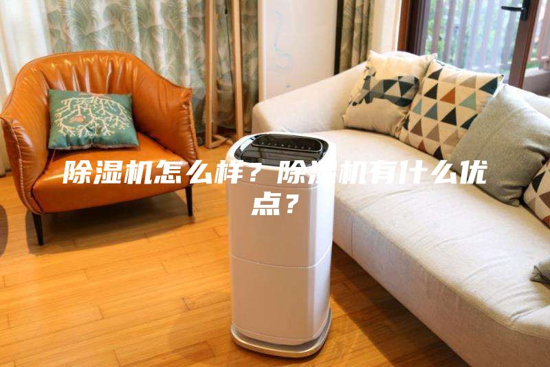 除濕機怎么樣？除濕機有什么優點？