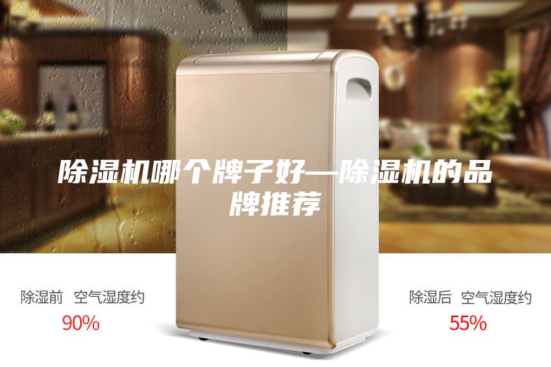 除濕機哪個牌子好—除濕機的品牌推薦