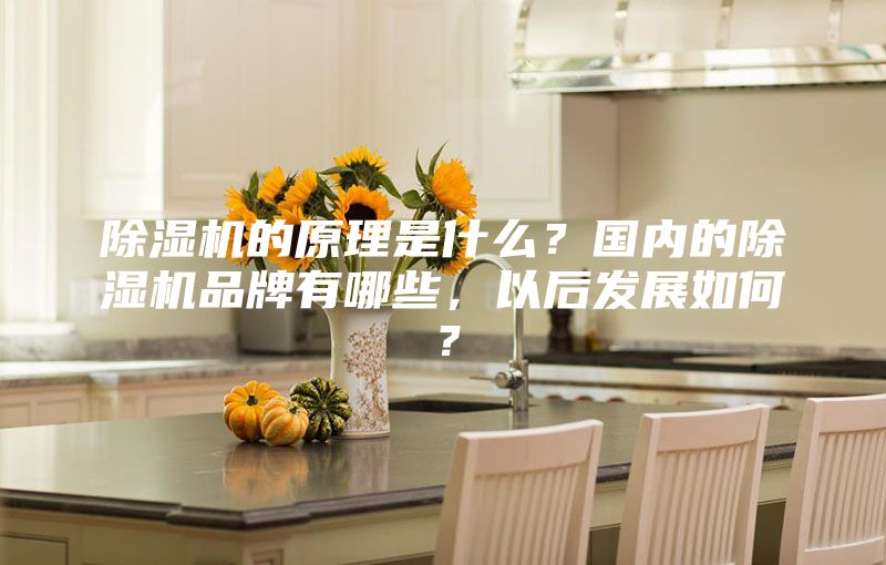 除濕機的原理是什么？國內的除濕機品牌有哪些，以后發展如何？