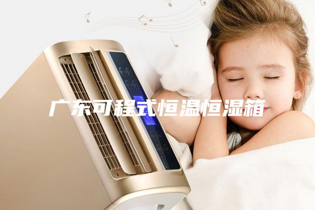 廣東可程式恒溫恒濕箱