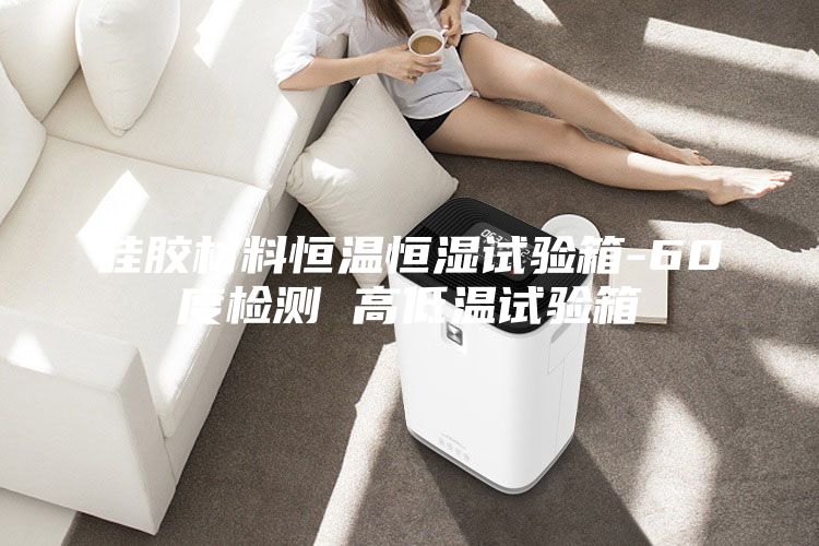 硅膠材料恒溫恒濕試驗箱-60度檢測 高低溫試驗箱