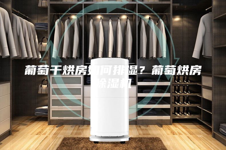 葡萄干烘房如何排濕？葡萄烘房除濕機