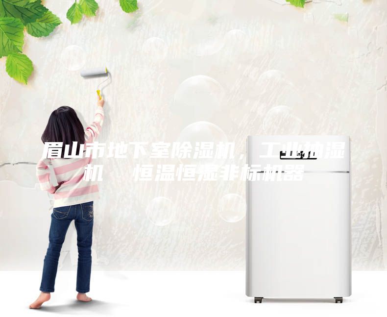 眉山市地下室除濕機(jī)，工業(yè)抽濕機(jī)  恒溫恒濕非標(biāo)機(jī)器