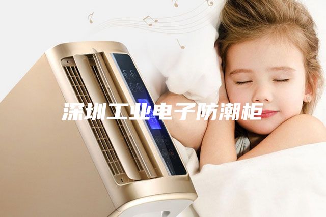 深圳工業電子防潮柜