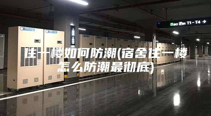 住一樓如何防潮(宿舍住一樓怎么防潮最徹底)