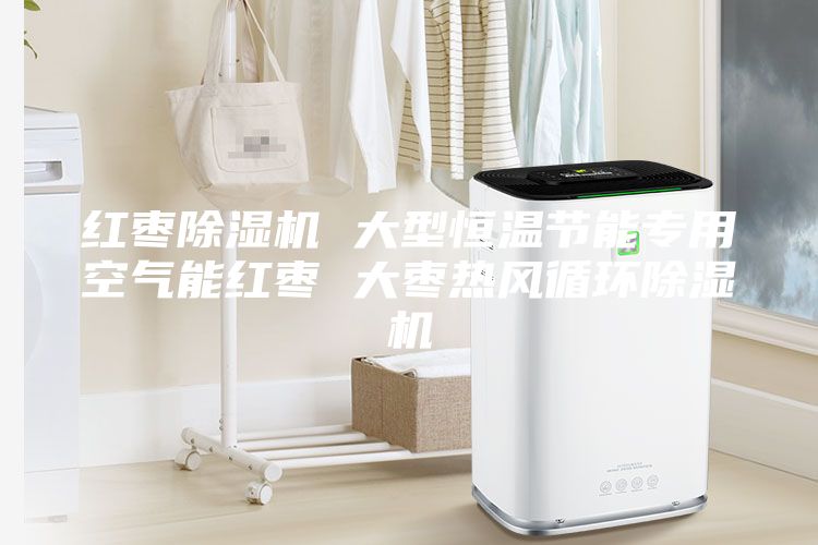 紅棗除濕機 大型恒溫節能專用空氣能紅棗 大棗熱風循環除濕機