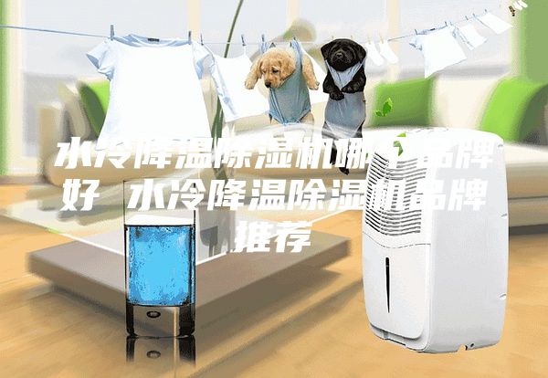 水冷降溫除濕機(jī)哪個(gè)品牌好 水冷降溫除濕機(jī)品牌推薦
