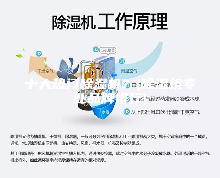 十大熱門除濕機？(除濕機專業(yè)品牌排行)