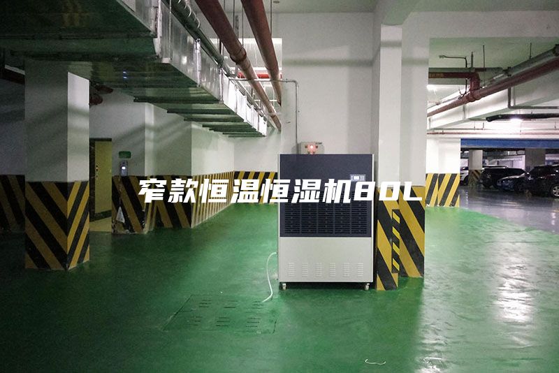 窄款恒溫恒濕機80L