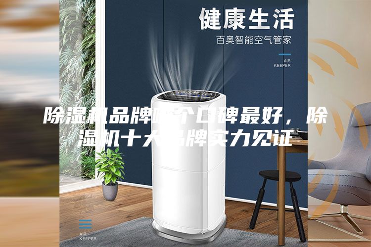 除濕機品牌哪個口碑最好，除濕機十大品牌實力見證