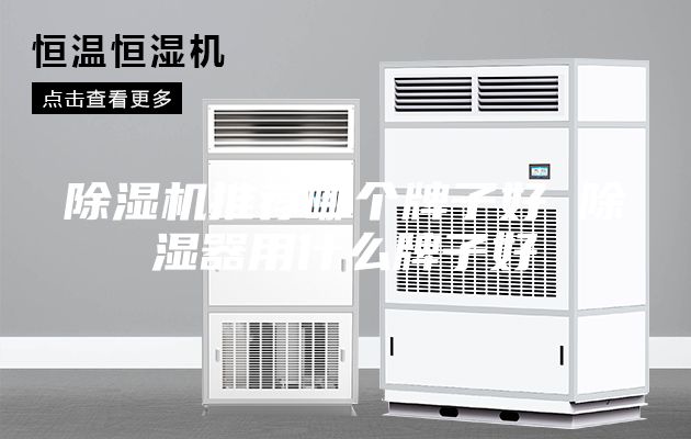 除濕機(jī)推薦哪個牌子好 除濕器用什么牌子好