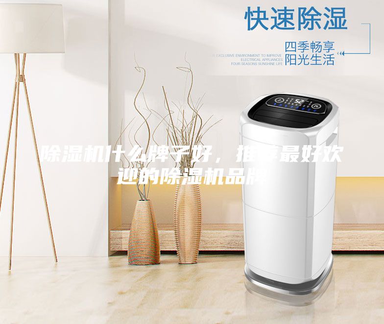 除濕機什么牌子好，推薦最好歡迎的除濕機品牌