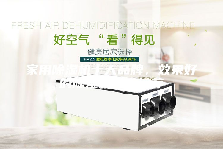 家用除濕機(jī)十大品牌，效果好的除濕機(jī)品牌推薦