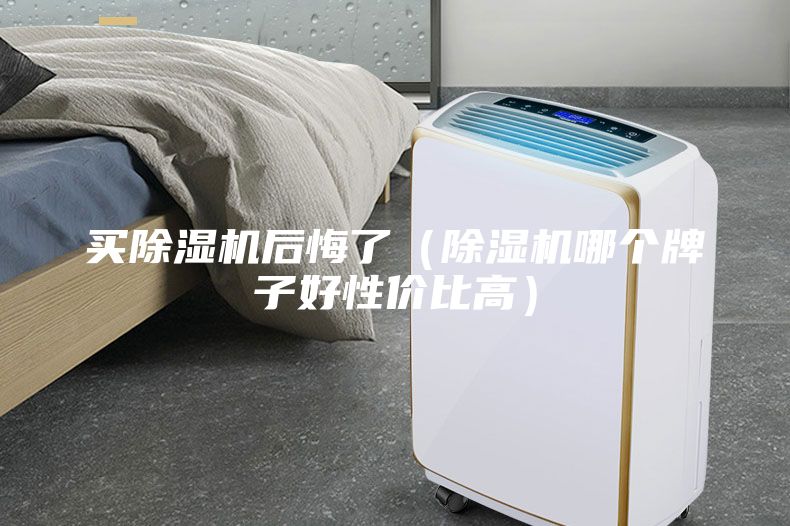 買除濕機后悔了（除濕機哪個牌子好性價比高）
