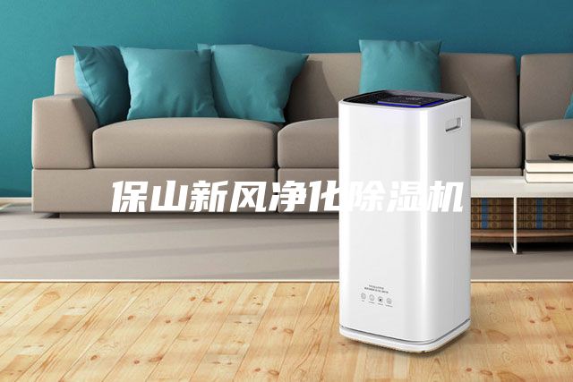 保山新風(fēng)凈化除濕機(jī)
